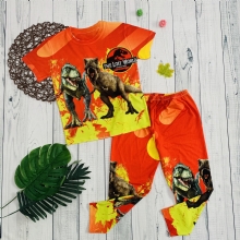 Bộ dài khủng long bé trai